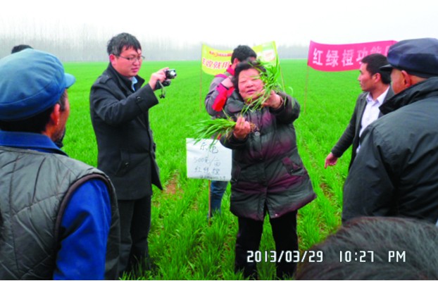 农业部力推农作物病虫防治升级