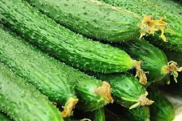 黄瓜红粉病防治-图文识别技术