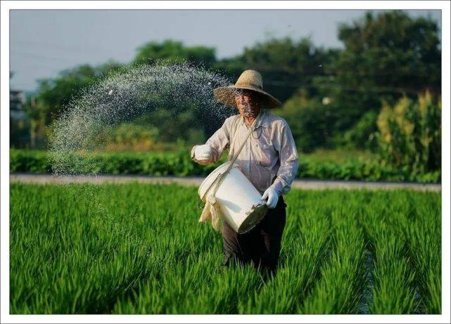农作物施用钾肥的重要性